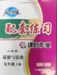 2023年名師點撥配套練習(xí)課時作業(yè)九年級道德與法治上冊人教版