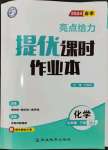 2024年亮點(diǎn)給力提優(yōu)課時作業(yè)本九年級化學(xué)下冊滬教版