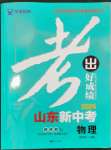 2024年考出好成绩中考总复习物理山东专版