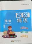 2024年高效精練九年級(jí)英語(yǔ)下冊(cè)譯林版