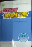 2024年陽光課堂金牌練習冊九年級化學下冊人教版