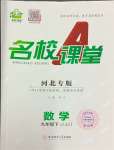 2024年名校課堂九年級(jí)數(shù)學(xué)下冊(cè)冀教版河北專版