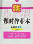 2024年南通小題課時作業(yè)本九年級化學(xué)下冊人教版