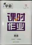 2024年經(jīng)綸學(xué)典課時作業(yè)九年級英語下冊江蘇版