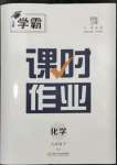 2024年經(jīng)綸學(xué)典課時作業(yè)九年級化學(xué)下冊人教版