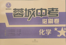 2024年蓉城中考名校模擬真題匯編化學