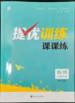 2024年金钥匙提优训练课课练九年级物理下册苏科版