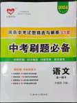 2024年中考刷題必備語(yǔ)文人教版河南專版