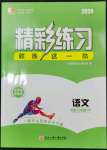 2024年精彩練習(xí)就練這一本八年級(jí)語(yǔ)文下冊(cè)人教版