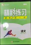 2024年精彩練習(xí)就練這一本七年級(jí)語文下冊(cè)人教版