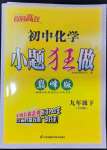 2024年初中化學(xué)小題狂做九年級(jí)下冊(cè)巔峰版