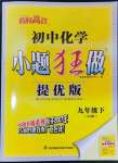 2024年初中化学小题狂做九年级下册人教版提优版