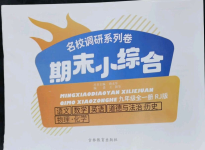 2023年名校調(diào)研系列卷期末小綜合九年級(jí)全一冊(cè)人教版