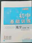 2024年初中基礎(chǔ)訓(xùn)練九年級化學(xué)下冊人教版山東教育出版社