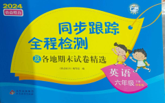 2024年同步跟蹤全程檢測(cè)六年級(jí)英語(yǔ)下冊(cè)譯林版