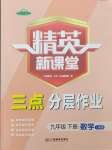 2024年精英新課堂九年級(jí)數(shù)學(xué)下冊(cè)人教版