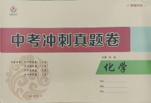 2024年中考沖刺真題卷化學新疆專版
