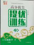 2024年高分拔尖提優(yōu)訓練六年級數(shù)學下冊蘇教版江蘇專版