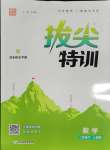 2024年拔尖特訓二年級數(shù)學下冊人教版