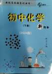 2024年新視角教輔系列叢書化學九年級下冊人教版