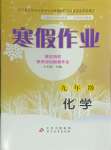 2024年寒假作業(yè)九年級化學(xué)北京教育出版社