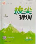 2024年拔尖特訓(xùn)八年級數(shù)學(xué)下冊人教版