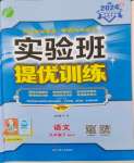 2024年實驗班提優(yōu)訓(xùn)練九年級語文下冊人教版