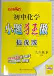 2024年初中化学小题狂做九年级下册沪教版提优版