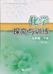 2024年探究与训练九年级化学下册沪教版