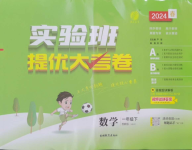 2024年實驗班提優大考卷一年級數學下冊蘇教版江蘇專版