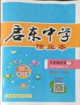 2024年啟東中學作業(yè)本九年級化學下冊人教版