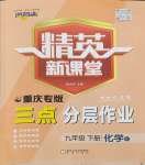 2024年精英新課堂九年級化學(xué)下冊人教版重慶專版