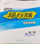 2024年初中同步學(xué)習(xí)導(dǎo)與練導(dǎo)學(xué)探究案九年級(jí)化學(xué)下冊(cè)人教版