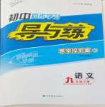 2024年初中同步學(xué)習(xí)導(dǎo)與練導(dǎo)學(xué)探究案九年級語文下冊人教版