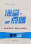 2024年課堂點(diǎn)睛九年級化學(xué)下冊人教版湖南專版