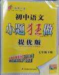 2024年小題狂做七年級(jí)語(yǔ)文下冊(cè)人教版提優(yōu)版