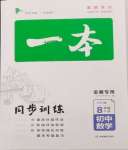 2024年一本同步訓(xùn)練初中數(shù)學(xué)八年級下冊滬科版安徽專版