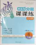 2024年木頭馬分層課課練六年級(jí)數(shù)學(xué)下冊(cè)人教版