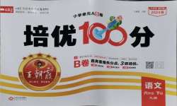 2024年王朝霞培優(yōu)100分六年級(jí)語文下冊人教版