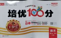 2024年王朝霞培優(yōu)100分五年級語文下冊人教版