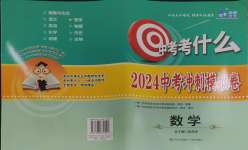 2024年中考考什么中考沖刺模擬卷數學
