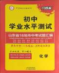 2024年風向標初中學業水平測試山東省各地市中考試題匯編化學
