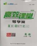 2024年351高效課堂導(dǎo)學(xué)案七年級(jí)英語(yǔ)下冊(cè)人教版湖北專版