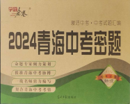 2024年學(xué)海金卷激活中考中考試題匯編物理青海專版