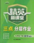 2024年精英新課堂七年級數(shù)學(xué)下冊滬科版