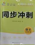 2024年同步?jīng)_刺七年級(jí)語文下冊(cè)人教版