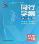 2024年同行學(xué)案學(xué)練測(cè)九年級(jí)化學(xué)下冊(cè)人教版