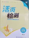 2024年通城學典活頁檢測九年級化學下冊人教版