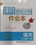 2024年課時提優(yōu)計劃作業(yè)本七年級語文下冊人教版