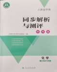 2024年人教金學(xué)典同步解析與測評學(xué)考練九年級化學(xué)下冊人教版